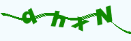德仪国际贸易